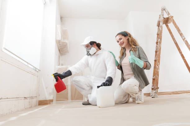 Trusted Parkwood, WA Mold Removal Experts